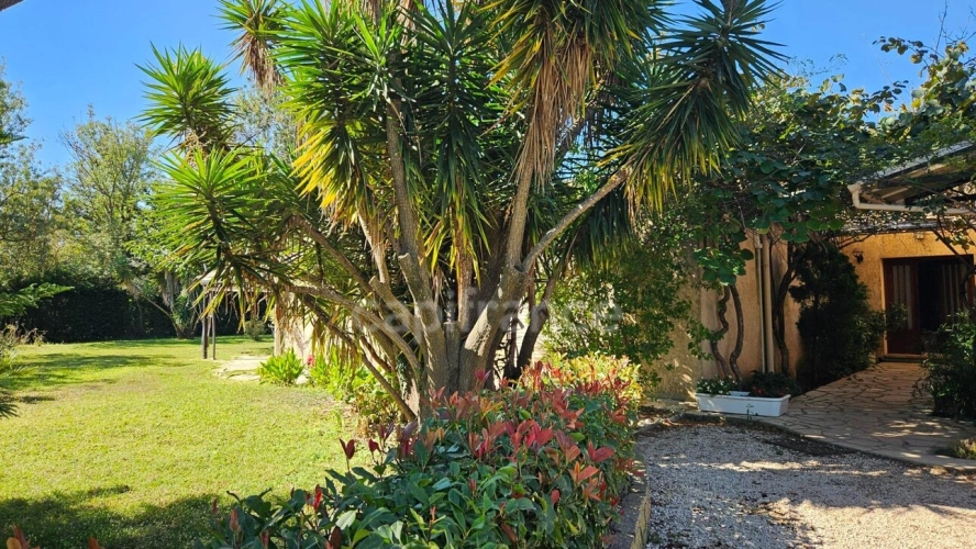 Photos 10 - Prestige - HYÈRES – PROPRIÉTÉ  SUR PLUS D'1 HECTARE – MAISON PRINCIPALE DE PLAIN-PIED, PISCINE ET ENSEMBLE BÂTI