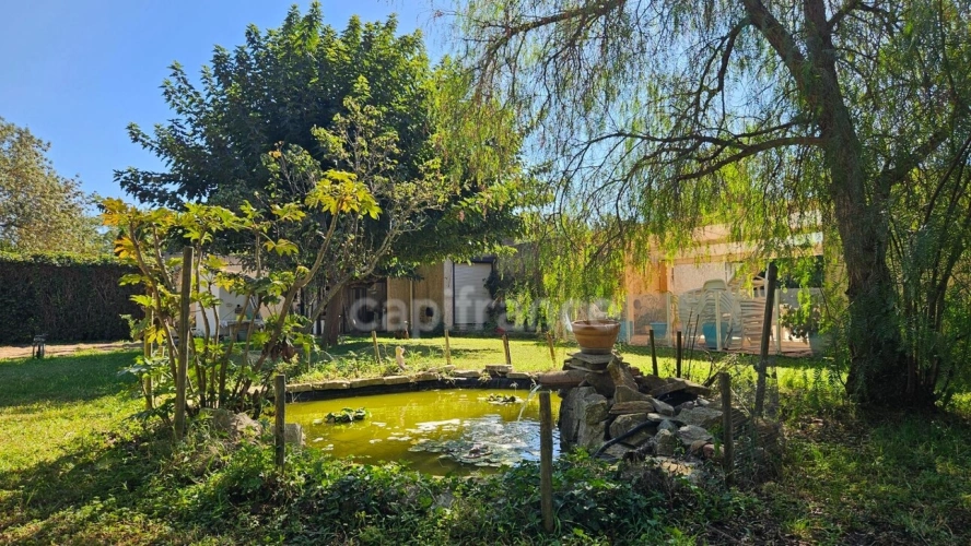 Photos 13 - Prestige - HYÈRES – PROPRIÉTÉ  SUR PLUS D'1 HECTARE – MAISON PRINCIPALE DE PLAIN-PIED, PISCINE ET ENSEMBLE BÂTI