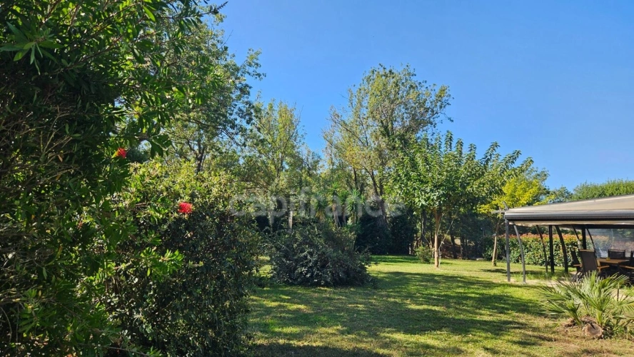Photos 14 - Prestige - HYÈRES – PROPRIÉTÉ  SUR PLUS D'1 HECTARE – MAISON PRINCIPALE DE PLAIN-PIED, PISCINE ET ENSEMBLE BÂTI
