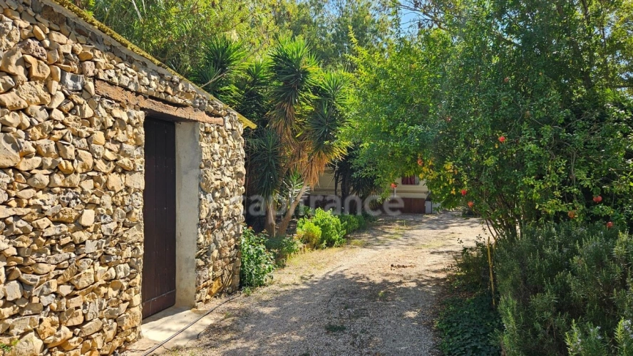 Photos 15 - Prestige - HYÈRES – PROPRIÉTÉ  SUR PLUS D'1 HECTARE – MAISON PRINCIPALE DE PLAIN-PIED, PISCINE ET ENSEMBLE BÂTI