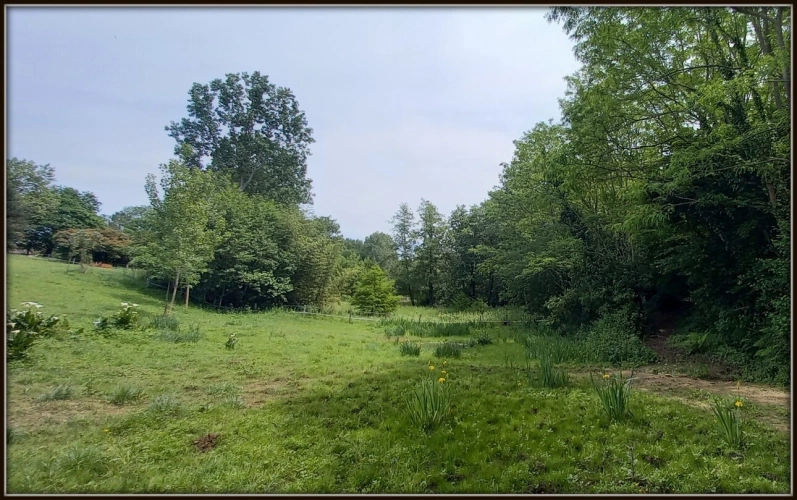 Photos 27 - Prestige - Dpt Landes (40), à vendre CAPBRETON Propriété de charme au calme