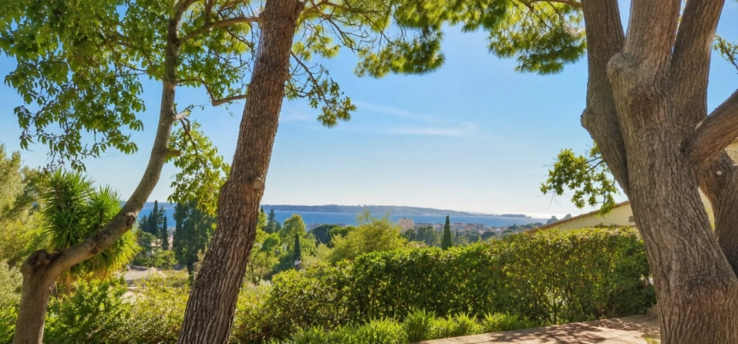 Photos 3 - Prestige - Dpt Alpes Maritimes (06), à vendre ANTIBES propriete 12
