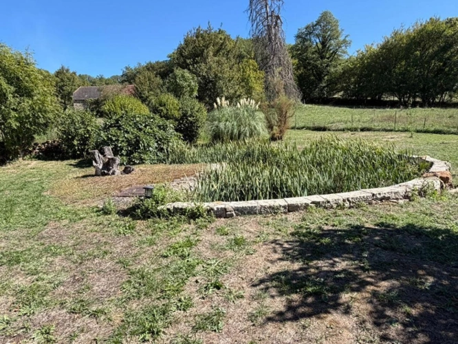 Photos 6 - Rurale - Maison de Maître rénovée