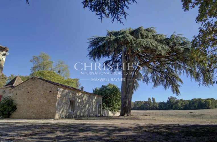 Photos 49 - Prestige - Un château, ses terres et son histoire au cœur du Périgord Pourpre