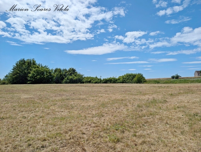 Photos 3 - Rurale - TERRAIN DE LOISIRS 2 930 m² à SAINT-BRICE, AUX PORTES DE PROVINS (77160)