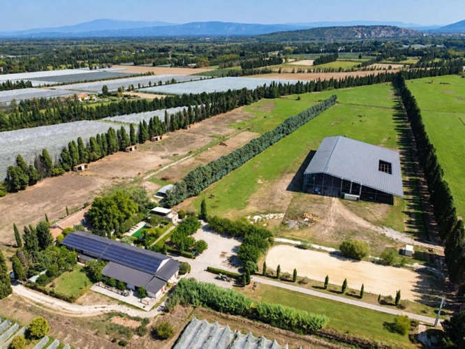Photos 4 - Équestre - Domaine d'exception de 11hectares .Un futur resort équestre au coeur des Alpilles
