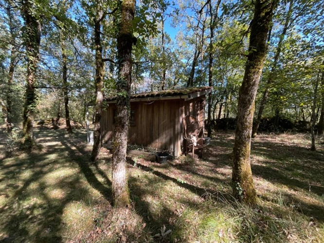 Photos 11 - Rurale - Maison Cajarc 4 pièce(s) 100 m2 + dépendances - 1,4ha