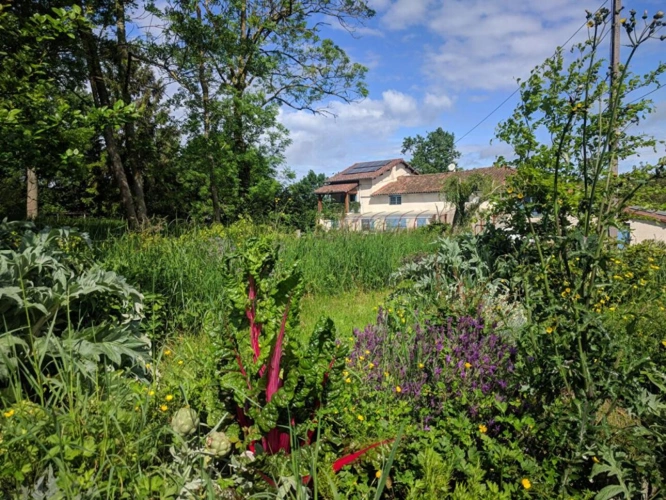 Photos 16 - Rurale - Exceptionnel corps de ferme entièrement autonome