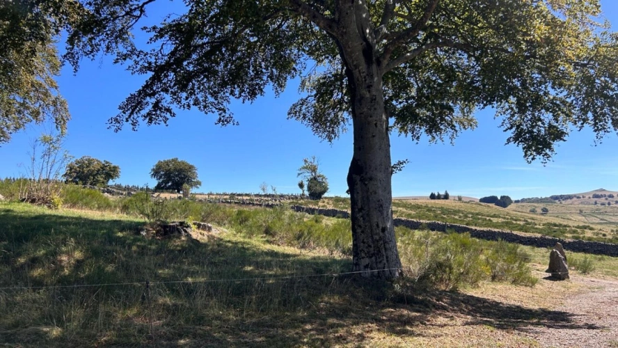 Photos 5 - Touristique - Domaine d'exception +500 m² sur 1,7 ha, Vue panoramique Aubrac,  Idéal Gîte ou Grande Demeure