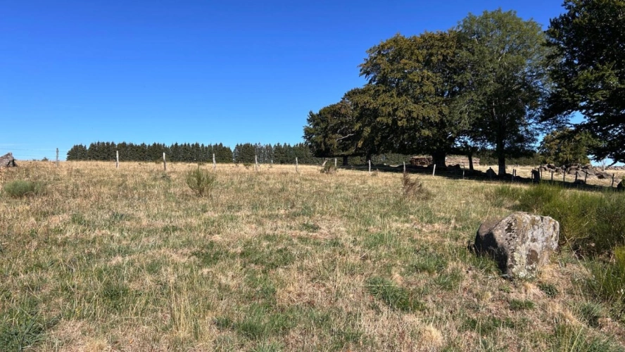 Photos 6 - Touristique - Domaine d'exception +500 m² sur 1,7 ha, Vue panoramique Aubrac,  Idéal Gîte ou Grande Demeure