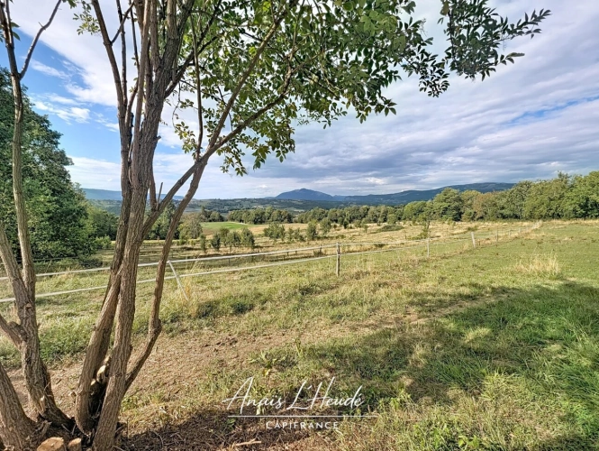 Photos 19 - Prestige - PROPRIÉTÉ D’EXCEPTION – PRÈS DE 300 m² – 2,7 HECTARES – LOGEMENTS INDEPENDANTS