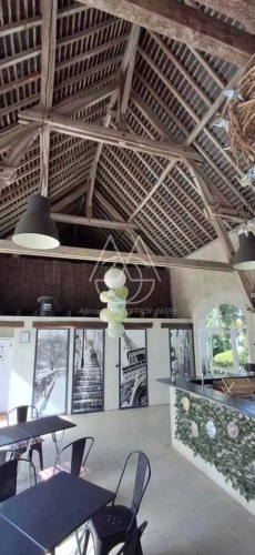 Photos 4 - Prestige - Entre Tours et Amboise, découvrez un moulin du XVIe siècle au cadre exceptionnel sur 3.4ha