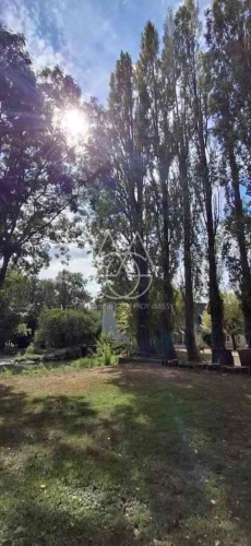 Photos 7 - Prestige - Entre Tours et Amboise, découvrez un moulin du XVIe siècle au cadre exceptionnel sur 3.4ha