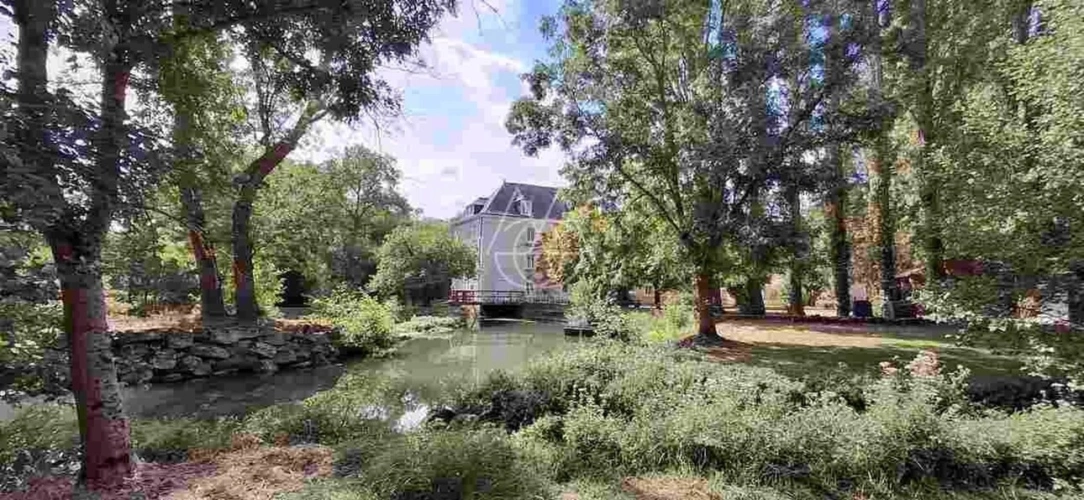 Photos 9 - Prestige - Entre Tours et Amboise, découvrez un moulin du XVIe siècle au cadre exceptionnel sur 3.4ha
