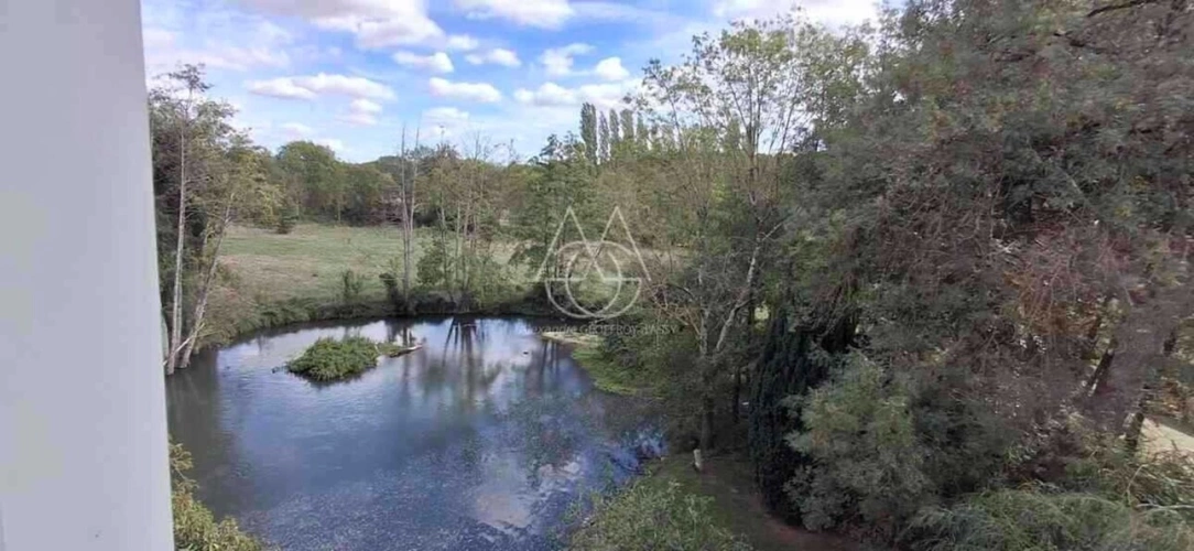 Photos 13 - Prestige - Entre Tours et Amboise, découvrez un moulin du XVIe siècle au cadre exceptionnel sur 3.4ha