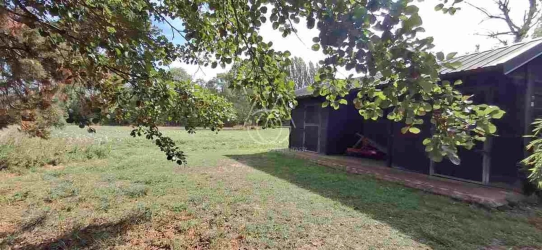 Photos 14 - Prestige - Entre Tours et Amboise, découvrez un moulin du XVIe siècle au cadre exceptionnel sur 3.4ha