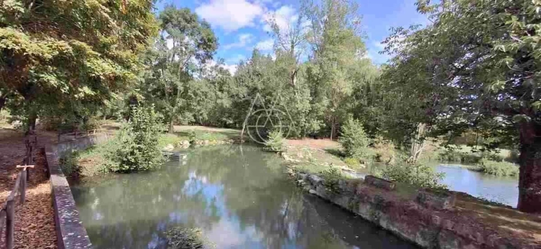 Photos 16 - Prestige - Entre Tours et Amboise, découvrez un moulin du XVIe siècle au cadre exceptionnel sur 3.4ha
