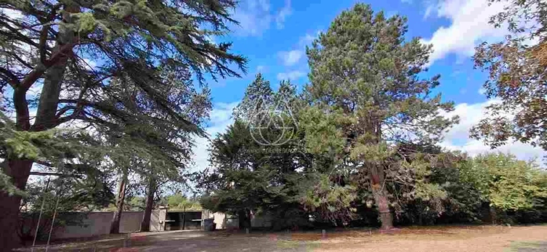 Photos 21 - Prestige - Entre Tours et Amboise, découvrez un moulin du XVIe siècle au cadre exceptionnel sur 3.4ha