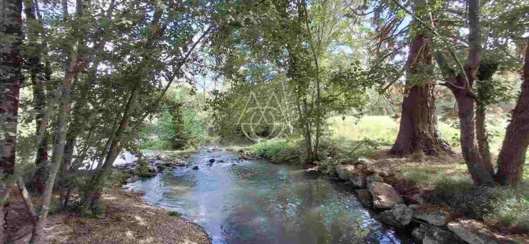 Photos 24 - Prestige - Entre Tours et Amboise, découvrez un moulin du XVIe siècle au cadre exceptionnel sur 3.4ha
