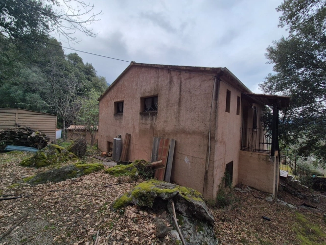 Photos 1 - Touristique - Propriete à vendre 7 pièces CORTE (20)