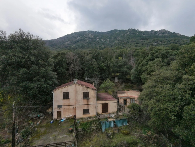 Photos 2 - Touristique - Propriete à vendre 7 pièces CORTE (20)
