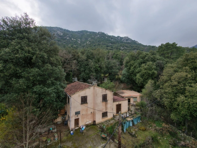 Photos 5 - Touristique - Propriete à vendre 7 pièces CORTE (20)