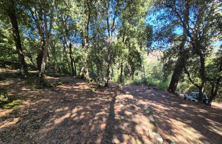 Photos 13 - Touristique - Propriete à vendre 7 pièces CORTE (20)