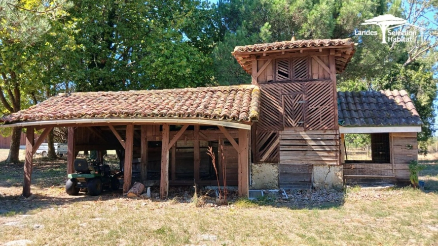 Photos 27 - Prestige - Maison de maître de 230 m² sur 1,3 hectare clos | Dépendances, piscine