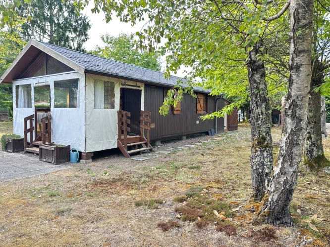 Photos 2 - Rurale - Terrain de loisir arboré de 1360m2 avec cabanon aménagé de 24m2 — Marigné-Laillé