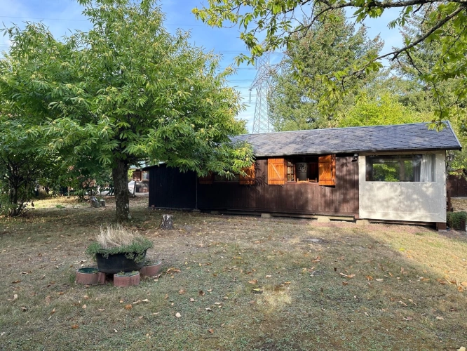 Photos 3 - Rurale - Terrain de loisir arboré de 1360m2 avec cabanon aménagé de 24m2 — Marigné-Laillé