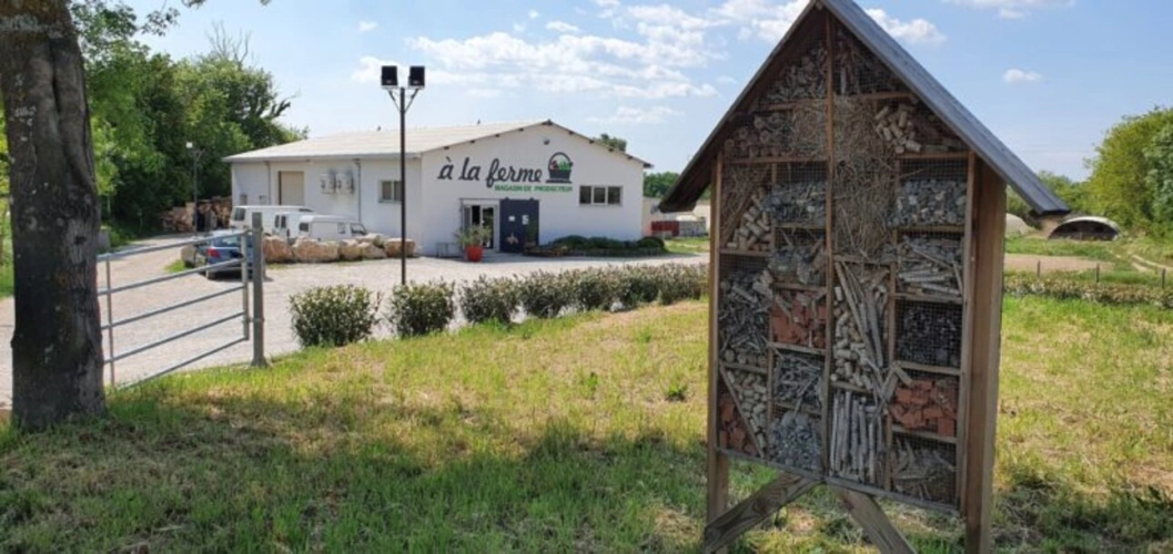 Photos 1 - Agricole - VENTE FERME EN POLYCULTURE ET ELEVAGE EN AB