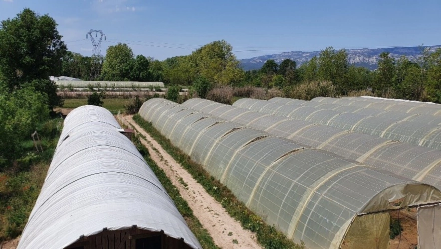 Photos 2 - Agricole - VENTE FERME EN POLYCULTURE ET ELEVAGE EN AB