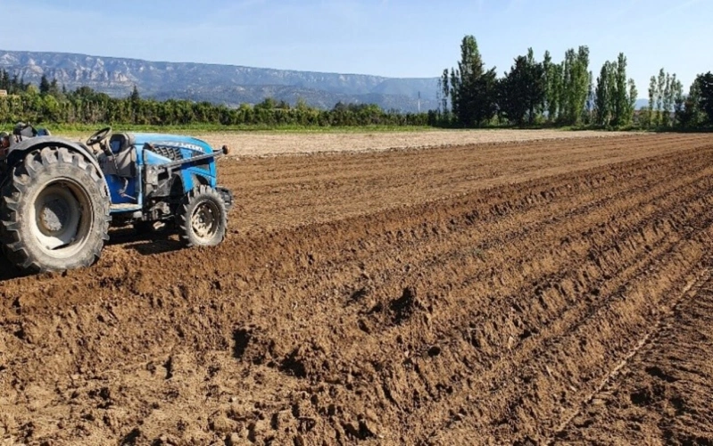Photos 5 - Agricole - VENTE FERME EN POLYCULTURE ET ELEVAGE EN AB