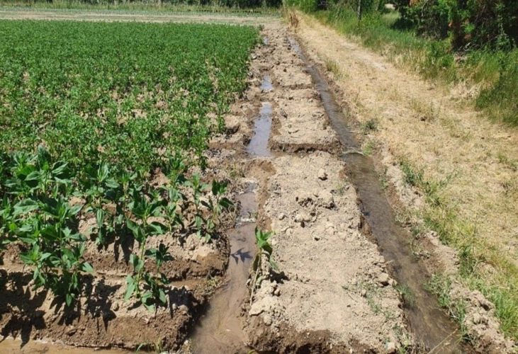 Photos 6 - Agricole - VENTE FERME EN POLYCULTURE ET ELEVAGE EN AB