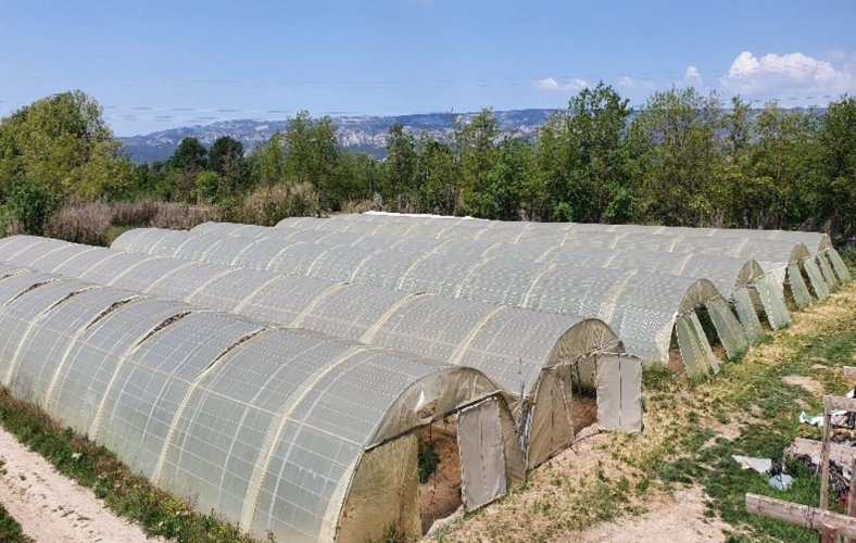 Photos 7 - Agricole - VENTE FERME EN POLYCULTURE ET ELEVAGE EN AB