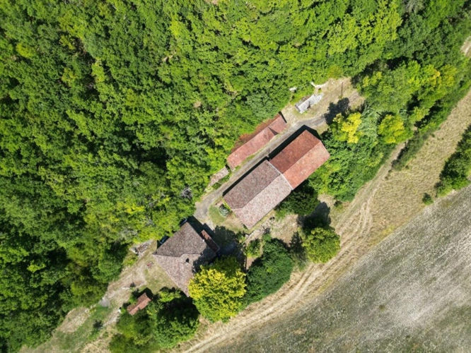 Photos 15 - Rurale - Corps de ferme avec 23 hectares et grange de 200 m²