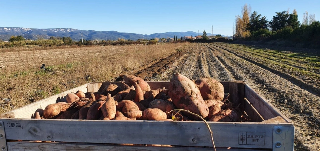 Photos 15 - Agricole - VENTE FERME EN POLYCULTURE ET ELEVAGE EN AB