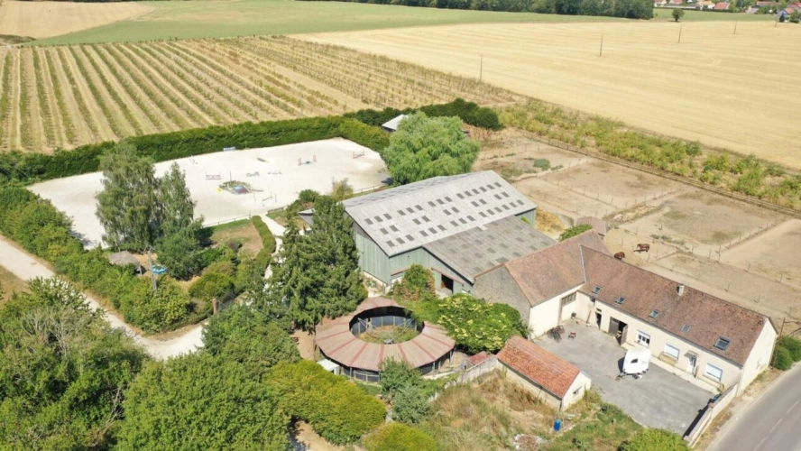 Photos 1 - Equestrian - Propriété équestre professionnelle - Idéale commerce et va