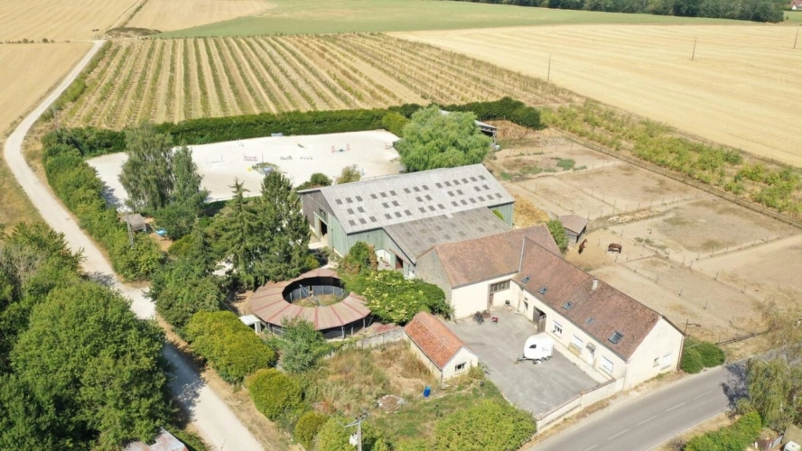 Photos 3 - Equestrian - Propriété équestre professionnelle - Idéale commerce et va