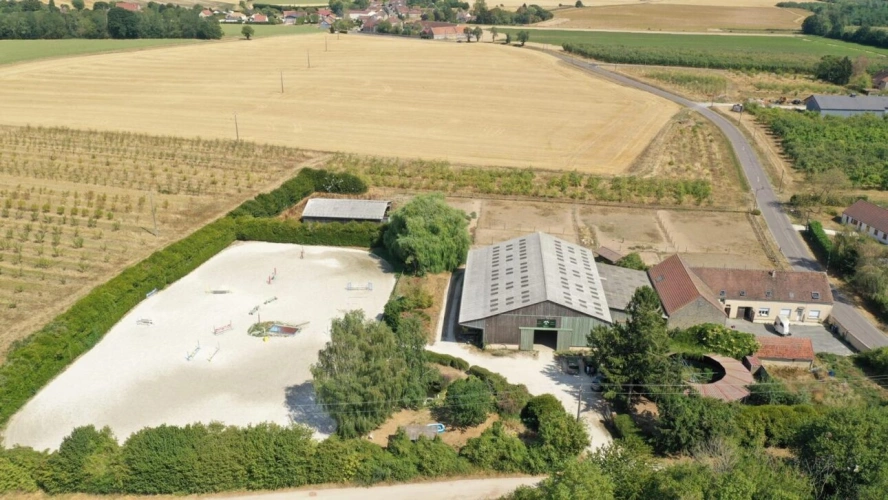 Photos 4 - Equestrian - Propriété équestre professionnelle - Idéale commerce et va