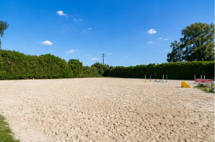 Photos 7 - Equestrian - Propriété équestre professionnelle - Idéale commerce et va