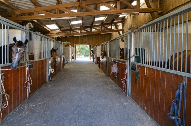 Photos 8 - Equestrian - Propriété équestre professionnelle - Idéale commerce et va