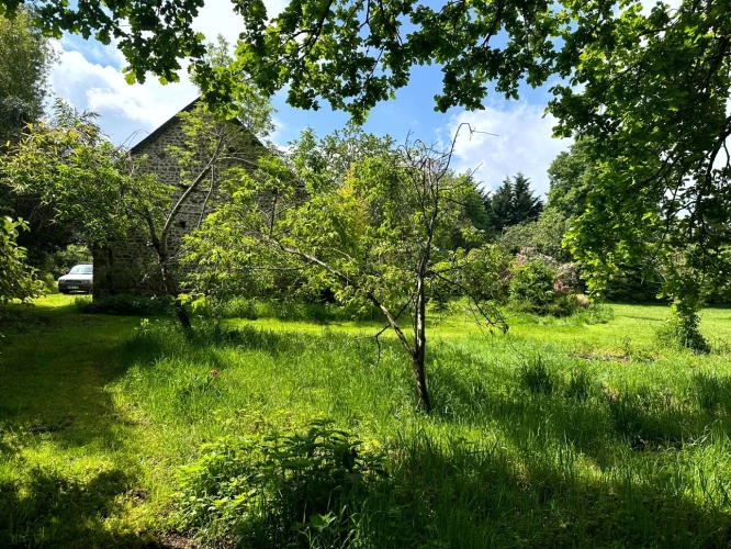 Photos 7 - Prestige - Exclusivité – Propriété de caractère avec étang, dans un écrin naturel préservé du Morvan - proche de SAULIEU (21)