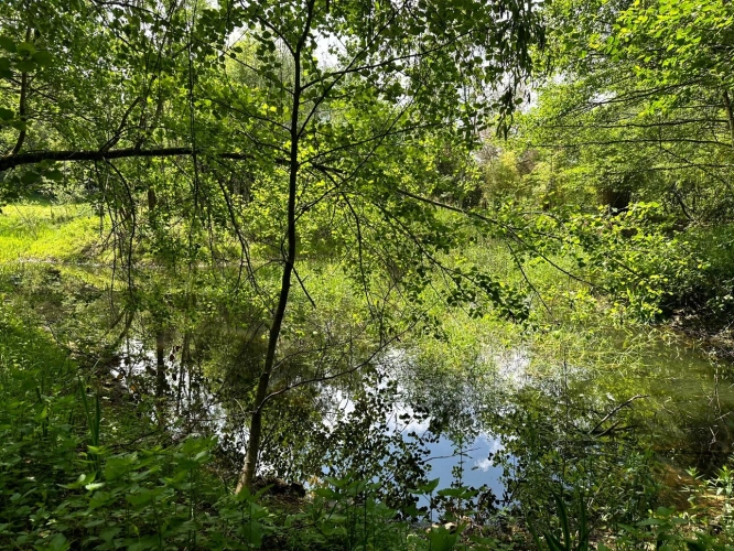 Photos 8 - Prestige - Exclusivité – Propriété de caractère avec étang, dans un écrin naturel préservé du Morvan - proche de SAULIEU (21)