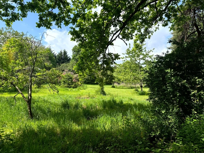 Photos 9 - Prestige - Exclusivité – Propriété de caractère avec étang, dans un écrin naturel préservé du Morvan - proche de SAULIEU (21)