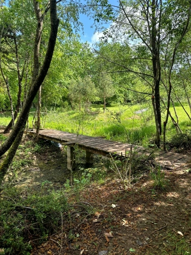 Photos 10 - Prestige - Exclusivité – Propriété de caractère avec étang, dans un écrin naturel préservé du Morvan - proche de SAULIEU (21)