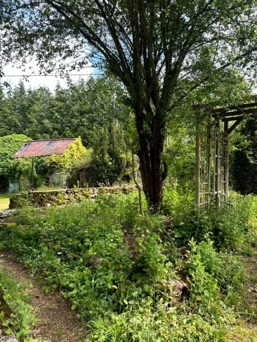 Photos 11 - Prestige - Exclusivité – Propriété de caractère avec étang, dans un écrin naturel préservé du Morvan - proche de SAULIEU (21)