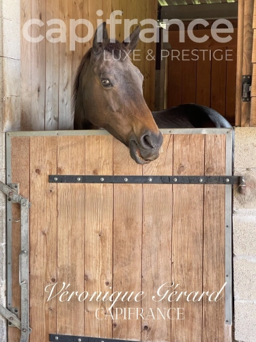 Photos 27 - Équestre - PROPRIETE EQUESTRE SUR PLUS DE 10 HECTARES