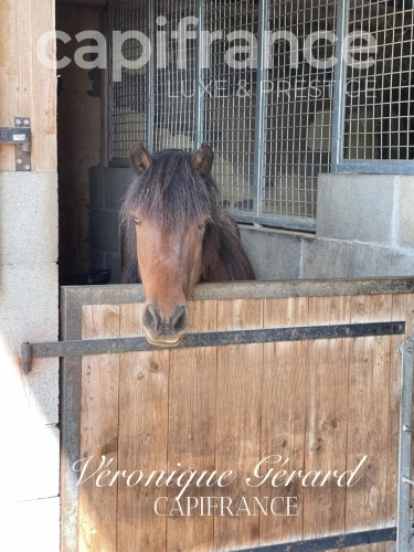 Photos 28 - Équestre - PROPRIETE EQUESTRE SUR PLUS DE 10 HECTARES