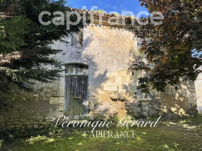 Photos 31 - Équestre - PROPRIETE EQUESTRE SUR PLUS DE 10 HECTARES